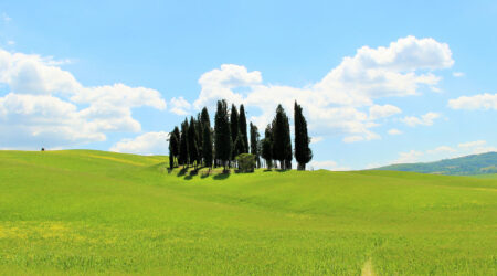 Pienza Val D Orcia Tour 2