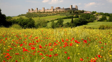 San Gimignano, Monteriggioni